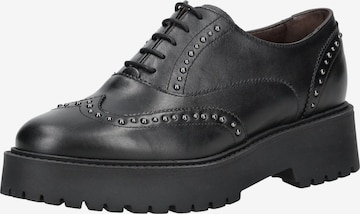 Nero Giardini Schnürschuh in Schwarz: Vorderseite