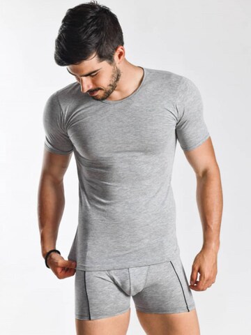 Maxte Undershirt 'BASIC MAX T-Shirt Men 5er Pack' in Grey: front