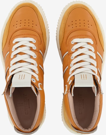 Crickit High-Top Sneakers ' MARWA ' in Orange