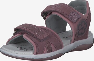 myToys COLLECTION Sandals 'SUNNY' in Purple: front