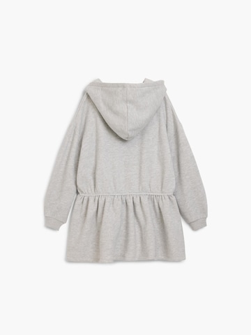 Desigual Obleka 'Mickey Mouse' | siva barva