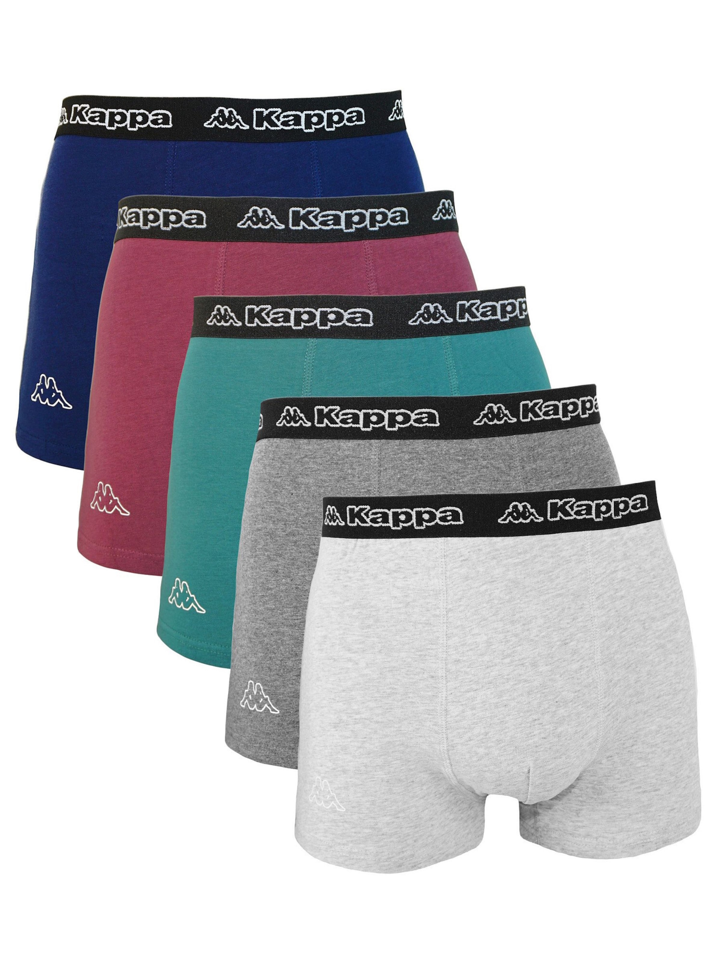 KAPPA Boxershorts 'Zaccharias' in Grau: Vorderseite
