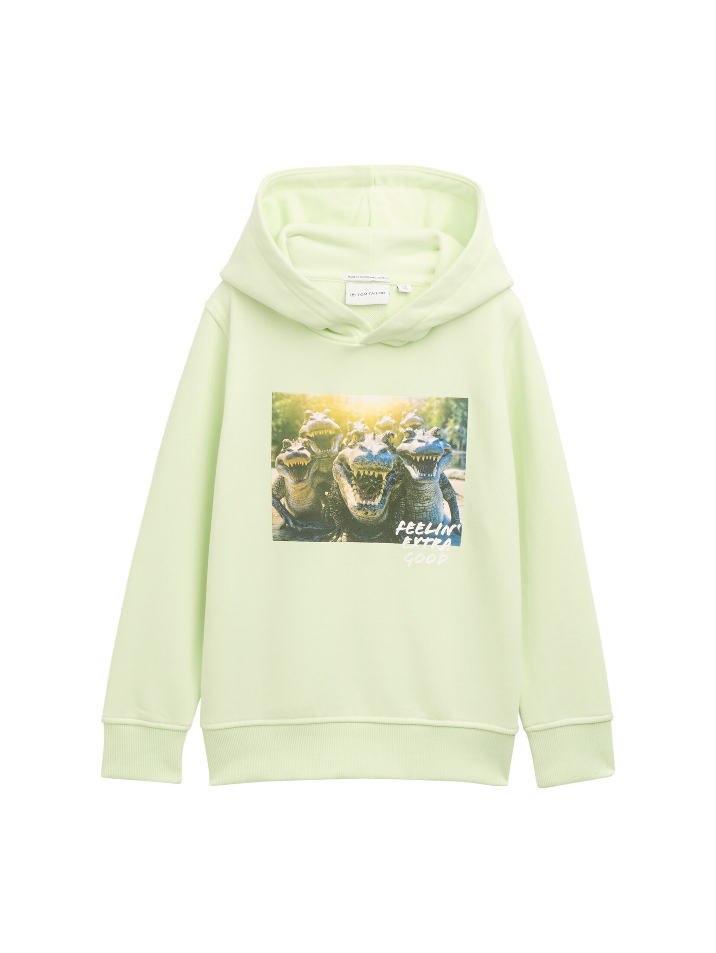 TOM TAILOR Sweatshirt in Green: front
