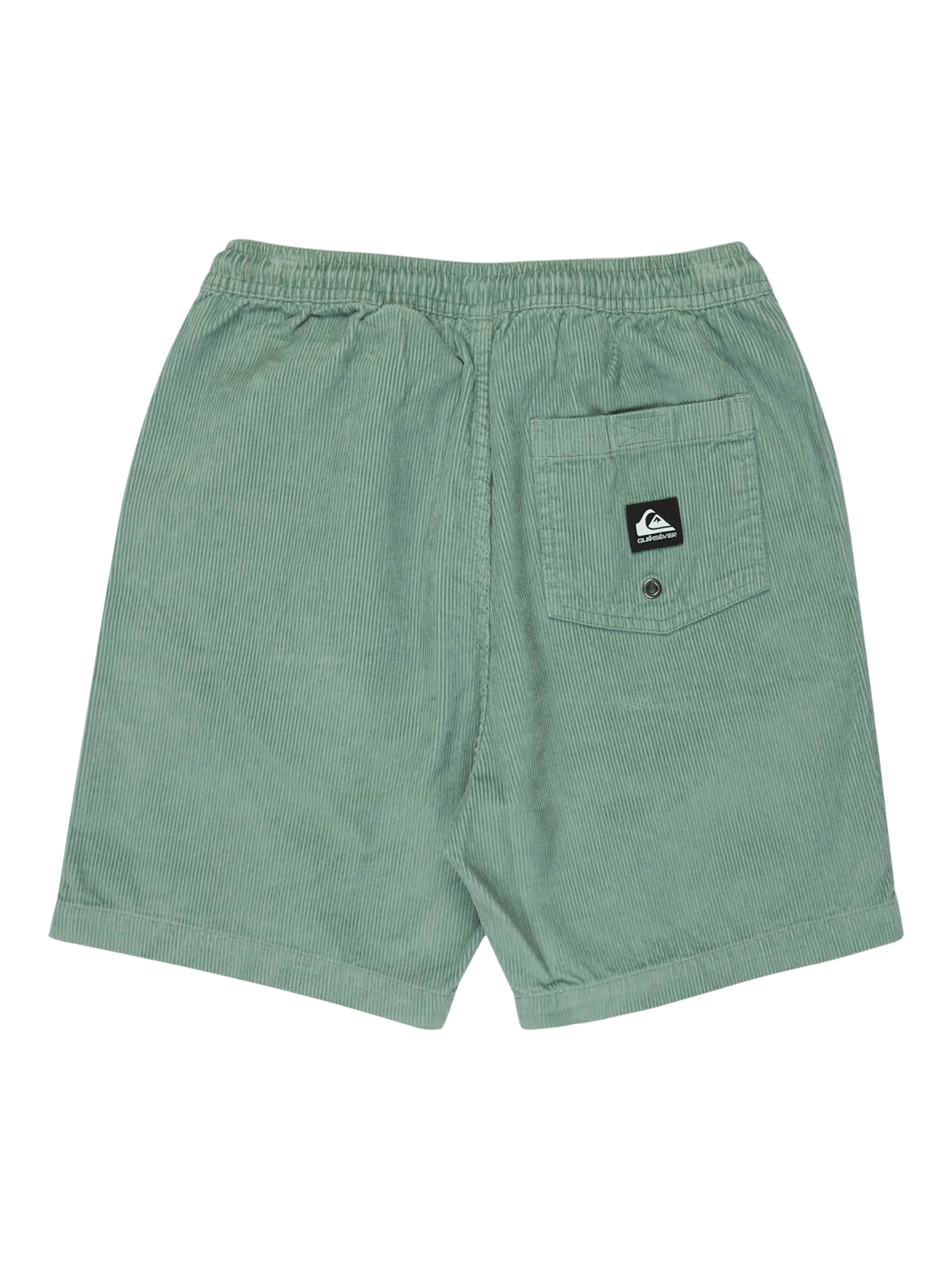 QUIKSILVER Regular Broek 'Taxer' in Groen