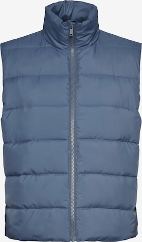 Noisy may Vest 'Marcus' in Blue: front