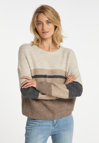 usha BLUE LABEL Sweater in Brown: front
