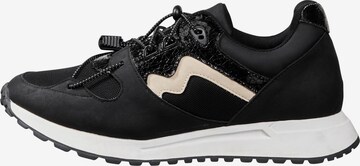 SHEEGO Sneakers in Black: front