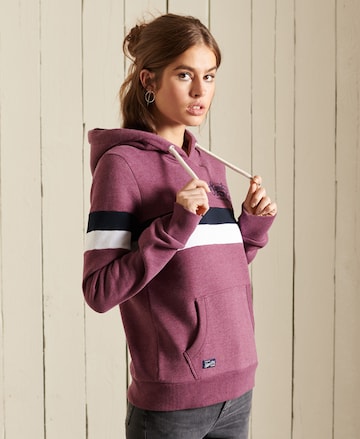 Superdry Sweatshirt 'Collegiate' in Purple