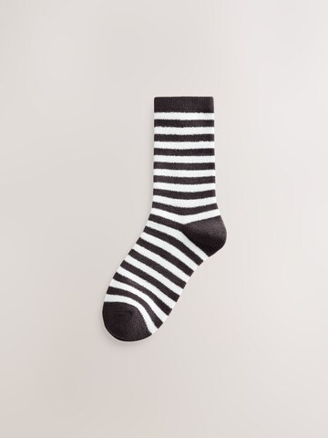 Next Socks in Brown
