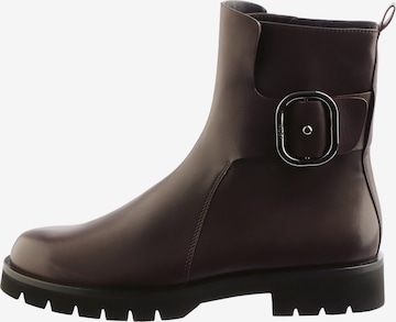 Bottines 'Chester' Högl en marron : devant