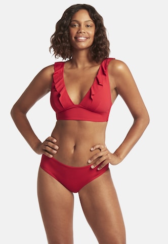 SEA LEVEL Bikinihose 'Essentials' in Rot