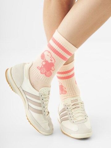 CODELLO Socks in Mixed colors