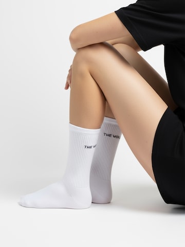 The Arctic Bay Socken 'WORLD IS EDITION' in Weiß