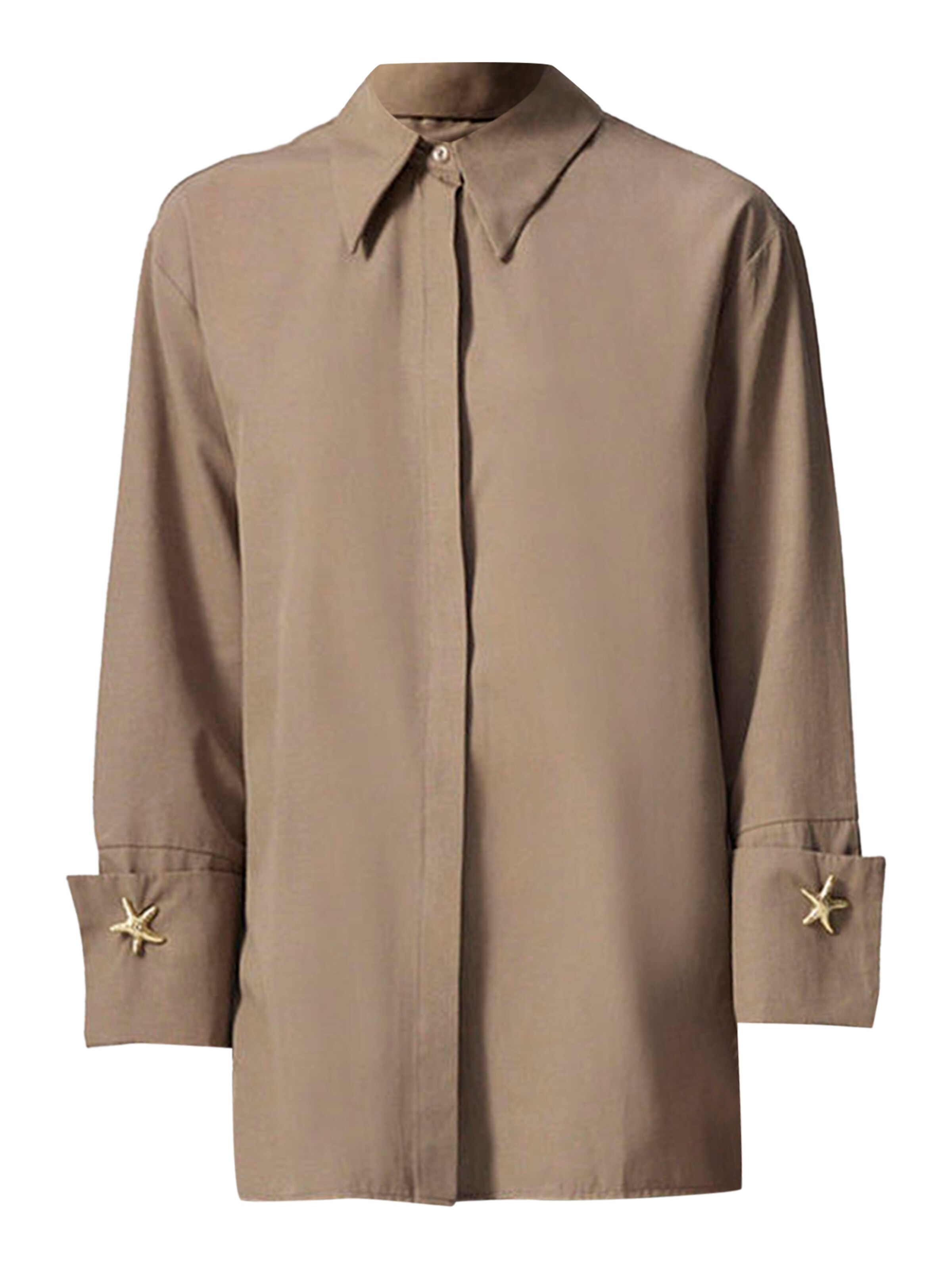 Touche Prive Blouse in Bruin: voorkant