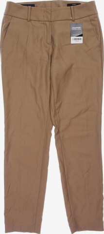 Windsor Pants in XXL in Brown: front