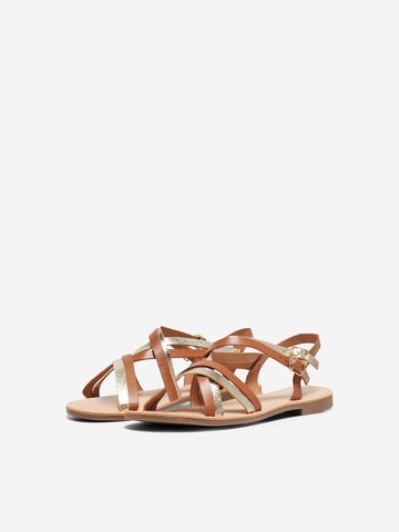 ONLY Sandalen met riem 'MANDALA-18' in Bruin