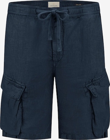 Dstrezzed Cargo Pants 'Logan' in Blue: front