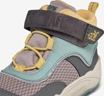 Affenzahn Sneakers 'Übergangsschuh Vegan Explory' in Grey: front