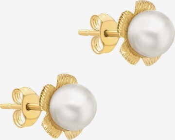 Lucardi Earrings 'Klassisch' in Gold