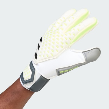 ADIDAS PERFORMANCE Athletic Gloves 'Predator Match Fingersave Goalkeeper' in White