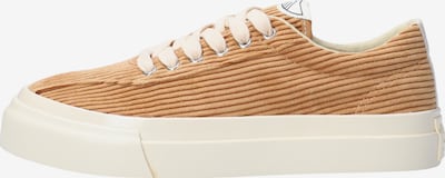 Sneaker low pe 36 Stepney Workers Club pe maro, Vizualizare produs