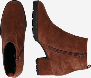 Högl Ankle Boots in Brown