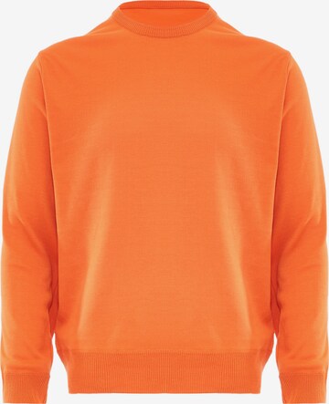 BLONDA Sweater in Orange: front