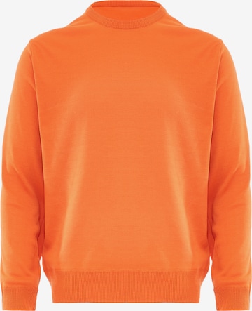 CELOCIA Sweater in Orange: front