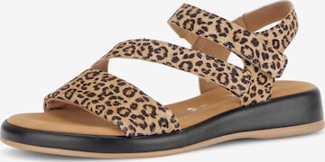 Sandalo di GABOR in beige: frontale