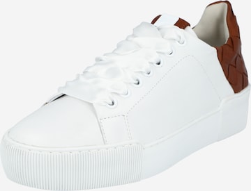 Sneaker bassa di Högl in bianco: frontale