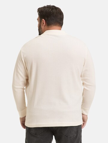 TOM TAILOR Men + Poloshirt in Weiß