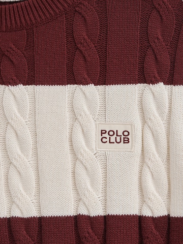 Polo Club Pullover in Mischfarben