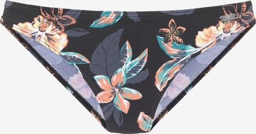 VENICE BEACH Bikini Bottoms in Black: front