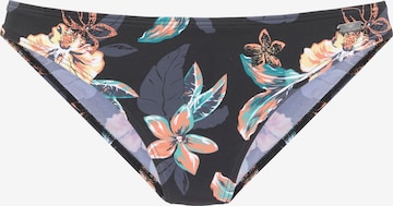 VENICE BEACH Bikinihousut värissä musta: etupuoli