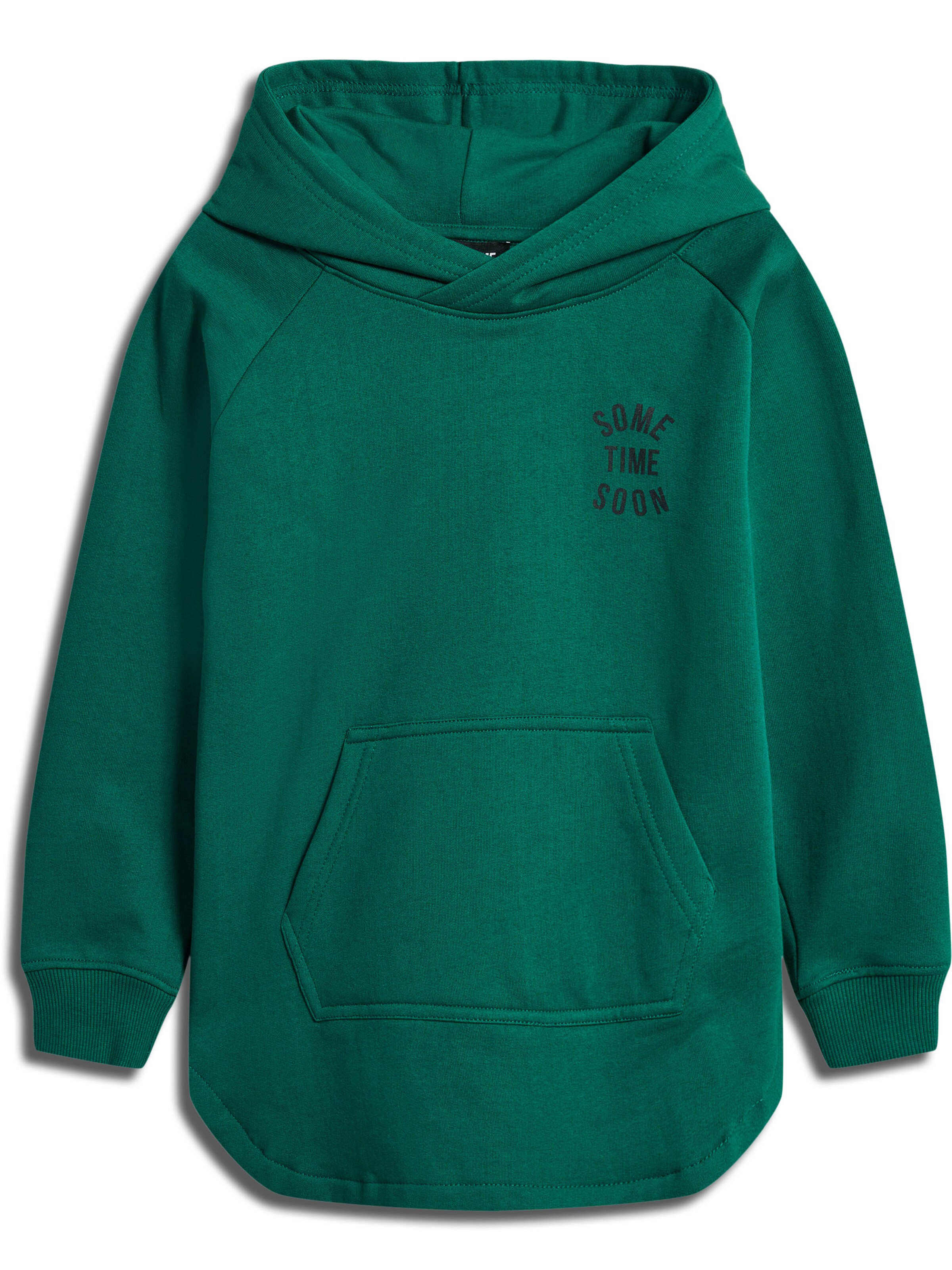 SOMETIME SOON Sweatshirt i grøn: forside