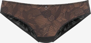 NUANCE Panty in Brown: front