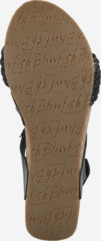 Blowfish Malibu Sandals ''LEELEE' in Black