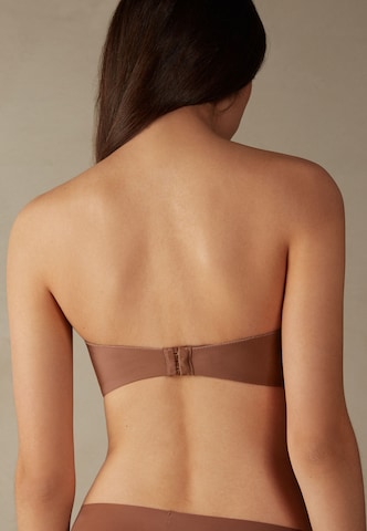 INTIMISSIMI Balconette Bra in Brown