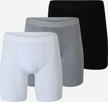 ABOUT YOU Boxershorts 'Rafael' in Grau: predná strana