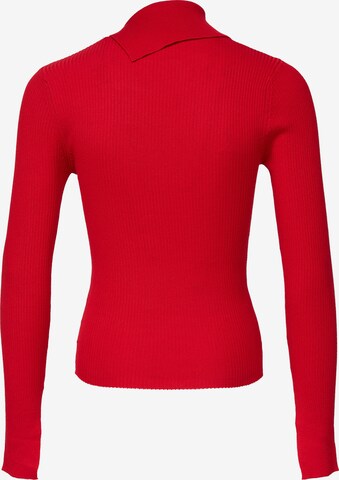 Threadbare Pullover 'Ross' in Rot