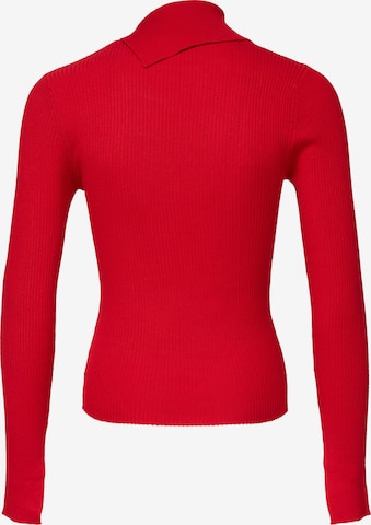 Threadbare Pullover 'Ross' in Rot