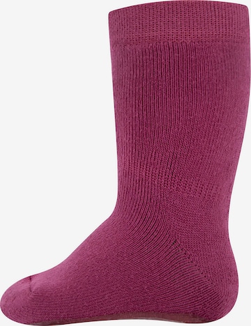 EWERS Socks in Purple