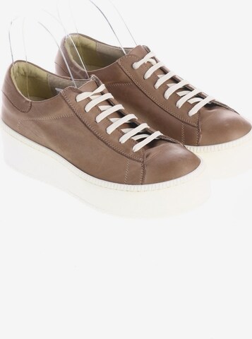 TSD12 Sneakers & Trainers in 38 in Brown: front