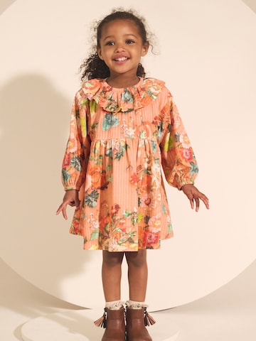 Robe Next en orange : devant
