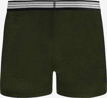 normani Athletic Underwear in Green