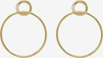 24Kae Earrings in Gold: front