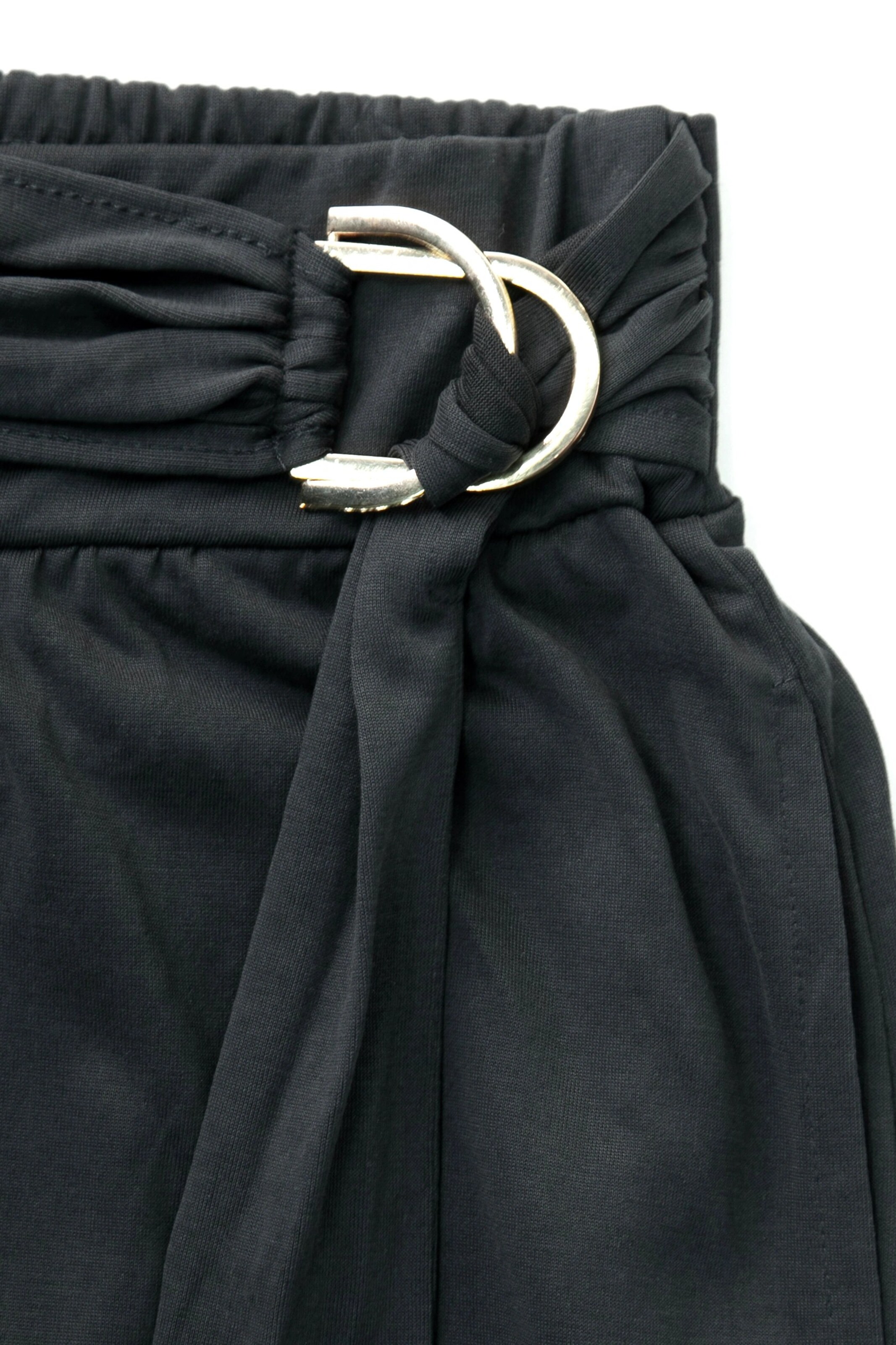 Alexa Dash Wide leg Pants in Grey