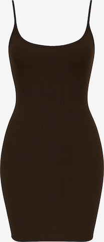 Robe fourreau PANTHEROAR en marron : devant