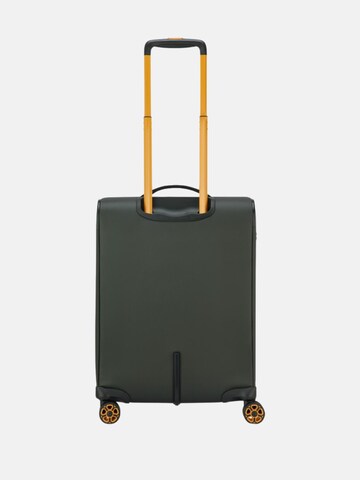Trolley di Roncato in verde