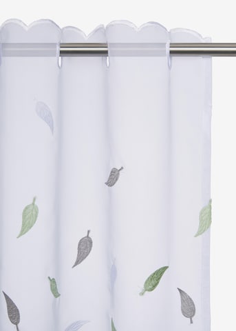 HOME AFFAIRE Curtains & Drapes in White